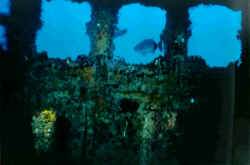 Caribi~1.jpg (65445 Byte)