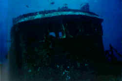 Caribi~2.jpg (50359 Byte)